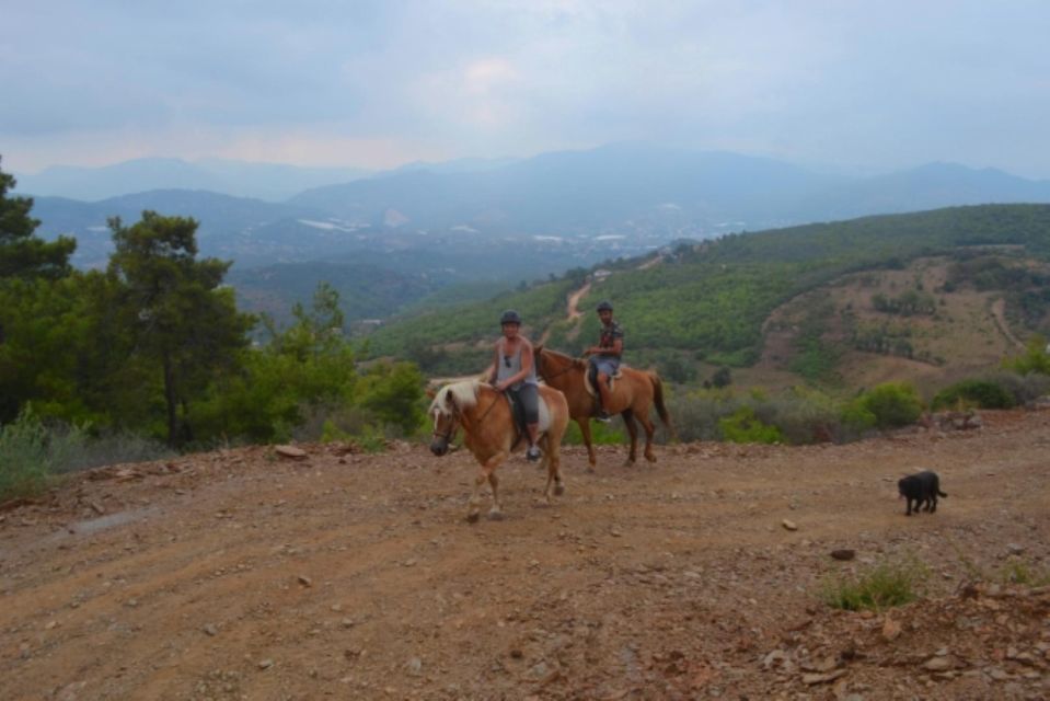 Alanya Horse Riding : Scenic Trails & Coastal Views - Common questions