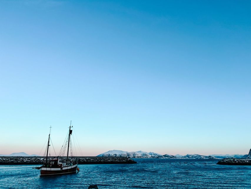 Ålesund: Ålesund and Surrounding Islands Audio Guide Tour - Experience Highlights