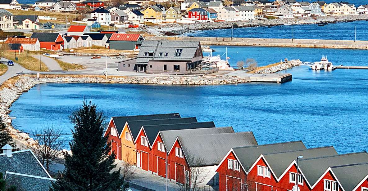Alesund: Private Tour to the Viking Islands - Inclusions