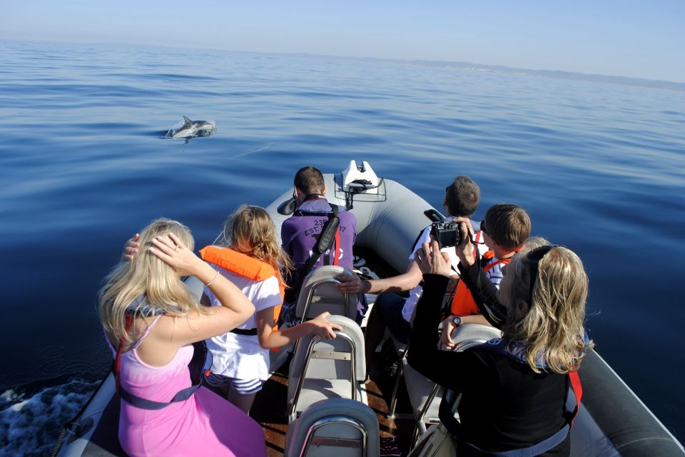 Algarve Dolphin Watching & Marine Life Eco Tour - Last Words