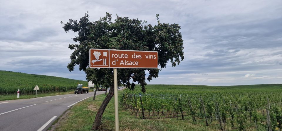 Alsace: the Legendary Wine Road Tour With Tasting and Lunch - Last Words