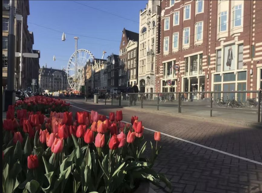 Amsterdam: The Story of History & Culture Walking Tour - Common questions