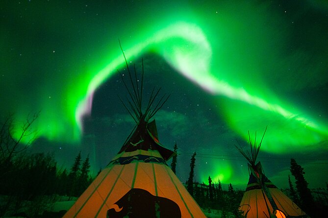 Arctic Day: Aurora Viewing Tour Evening - Tips for Aurora Viewing