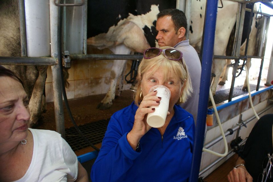 Azores: Day at the Farm With Outdoor Traditional Lunch - Last Words