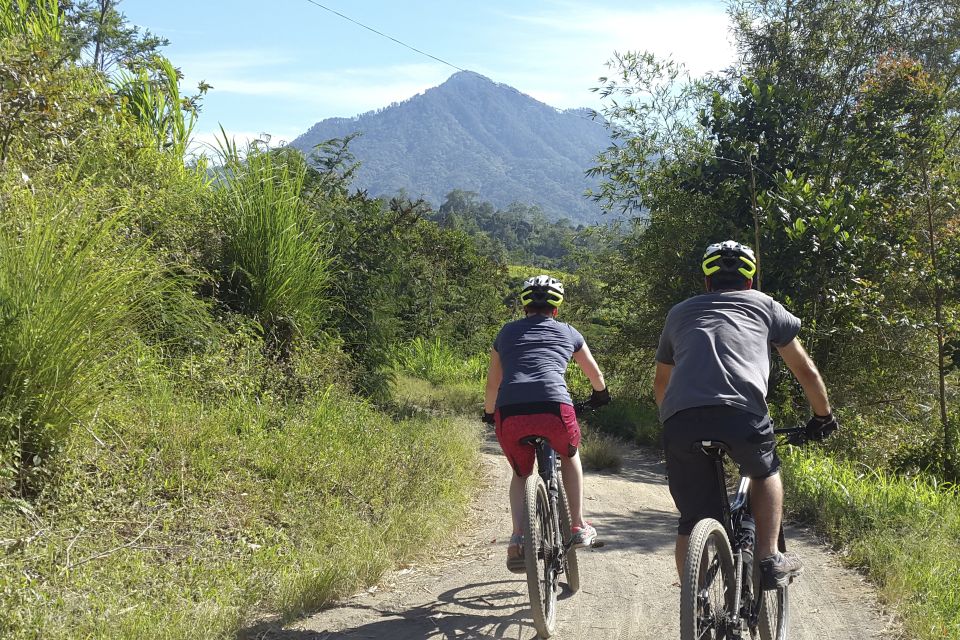 Bali: Jatiluwih Rice Terraces 1-Hour Electric Bike Tour - Common questions