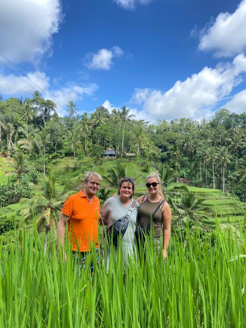 Bali Jeep Sunrise and Ubud Rice Terrace - Memorable Ubud Rice Terrace Visit