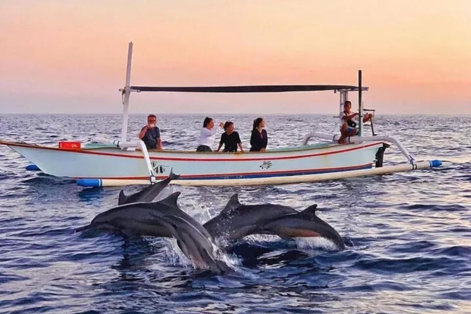 Bali Lovina Dolphin Tour & Watching Sunrise - Last Words