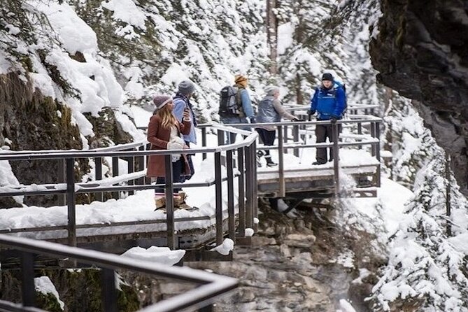 Banff Area & Johnston Canyon 1-Day Tour From Calgary or Banff - Customer Feedback and Reviews