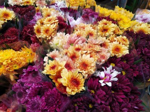 Bangkok:4Hour Flower Market and Little India Tour Mini Group - Last Words