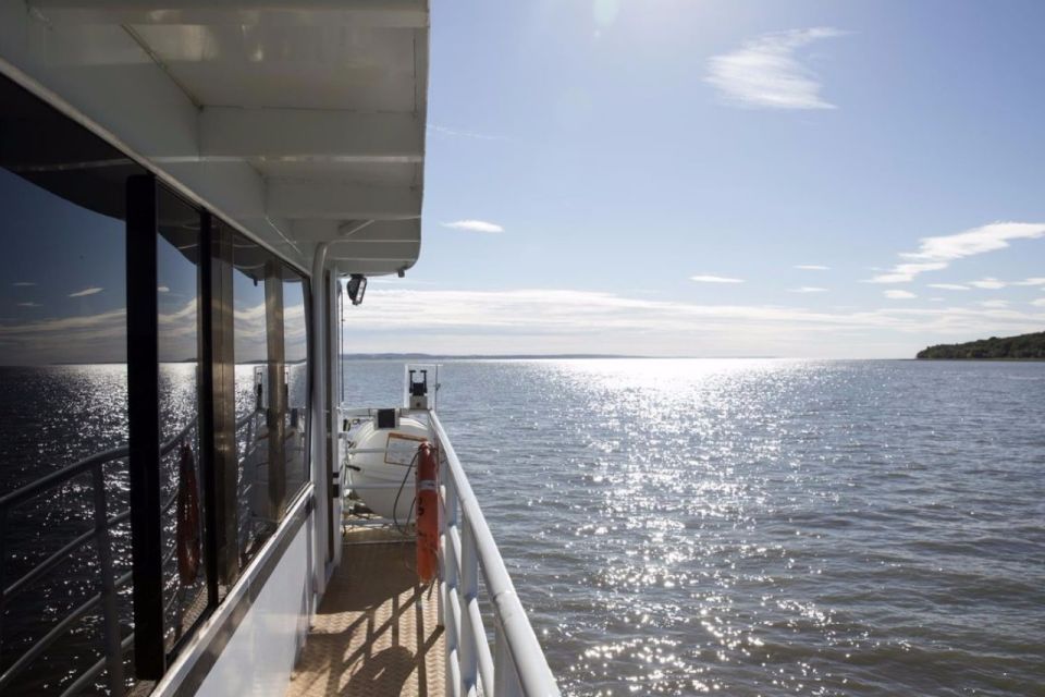 Berthier-sur-Mer: Razorbill Penguin Observation Cruise - Booking and Meeting Point