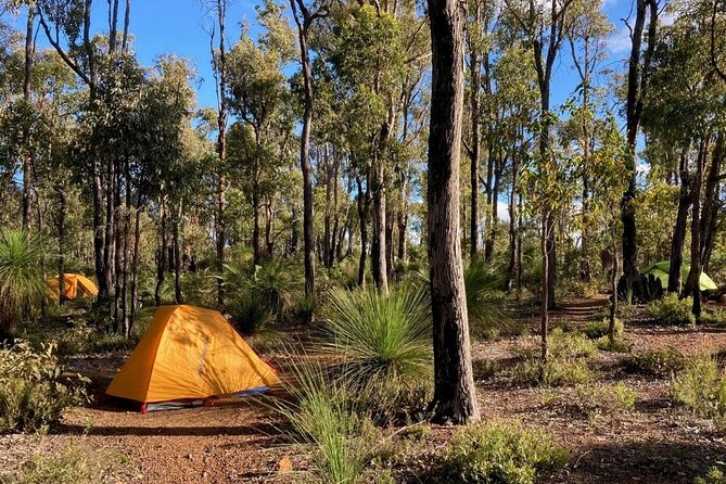 Bibbulmun Track Multi-Day Hike and Camp to the Darling Range - Booking Information