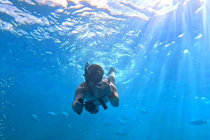 [Blue Ocean Snorkeling] Waikiki Turtle Canyon Snorkeling 6 in 1 - Last Words