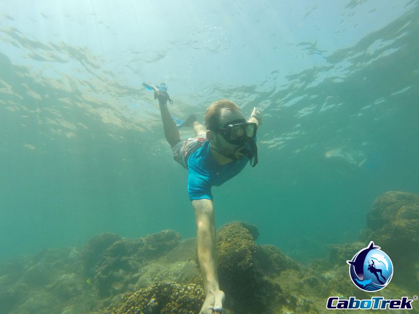 Cabo San Lucas Private Snorkeling Tour - Pricing and Reservations