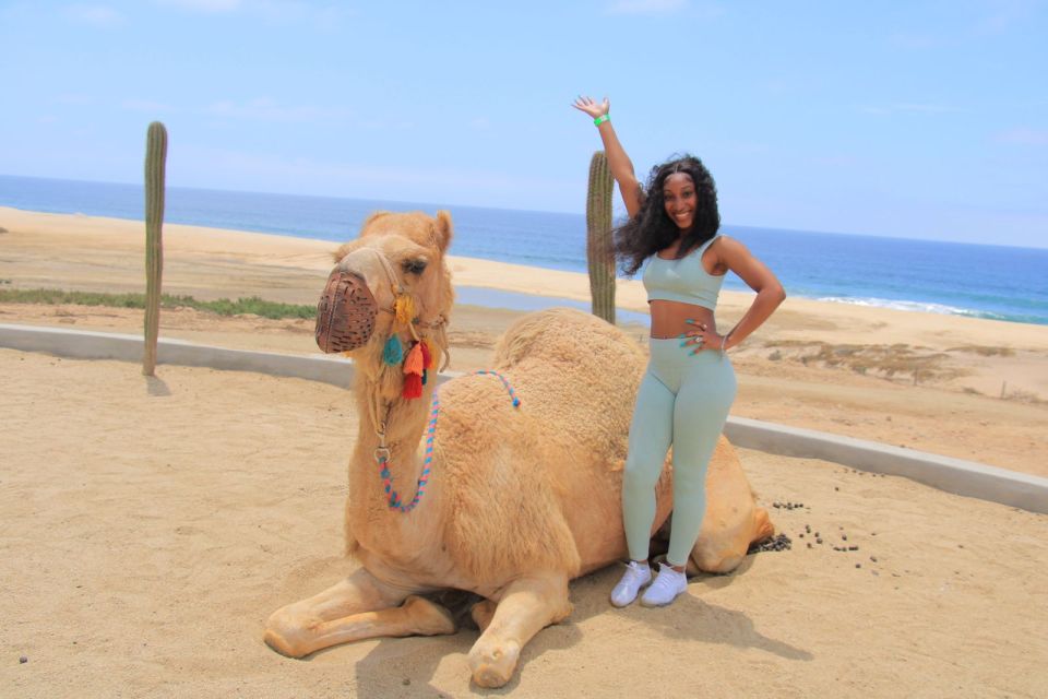Camel Ride Beach and Desert Adventure. - Common questions