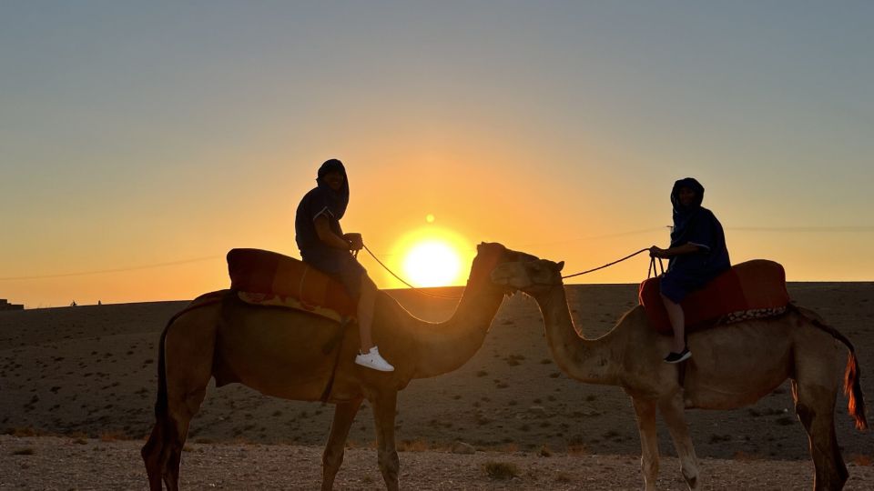 Camel Ride In Palmeraie 1 Hour, With Tea - Last Words