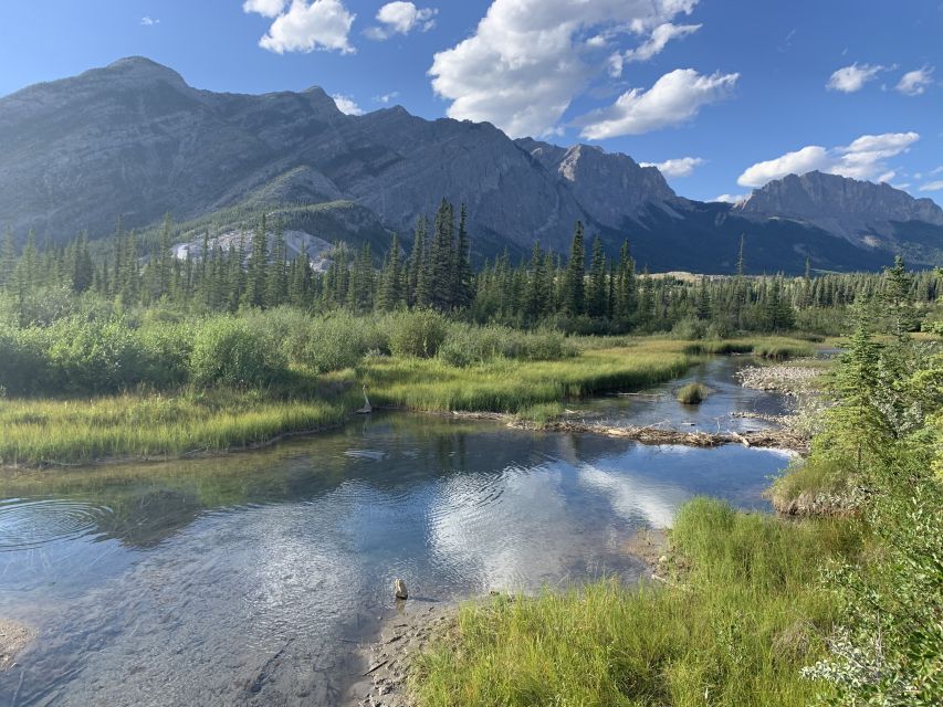 Canmore: Banff Park Safari Drive & Nature Walk - 4hrs - Common questions