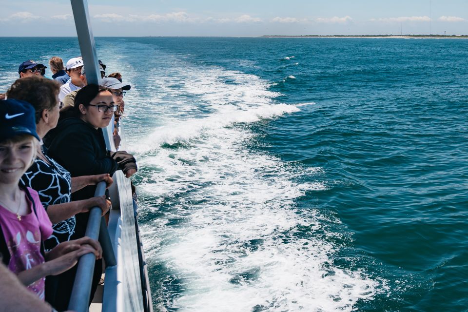Cape May: Jersey Shore Whale and Dolphin Watching Cruise - Travel Tips