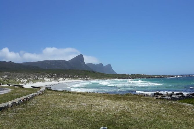 Cape Point, Boulders Beach in Private Car - Last Words