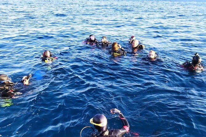 Catania: Scuba Diving Experience - Pricing and Booking Information
