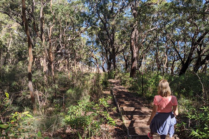 CENTRAL COAST PRIVATE TOUR Waterfalls, Beach Lookouts, Aboriginal Rock Art - Tour Authenticity