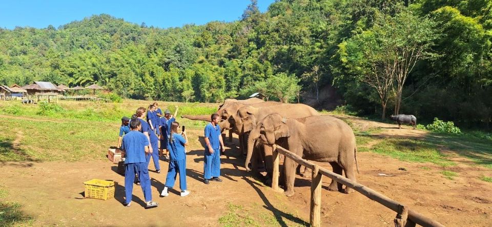 Chiang Mai: Elephants, Hill Tribe Stay, Rafting, Waterfall - Last Words
