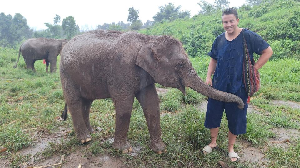 Chiang Mai: Ethical Elephant Sanctuary Day Tour & Lunch - Last Words