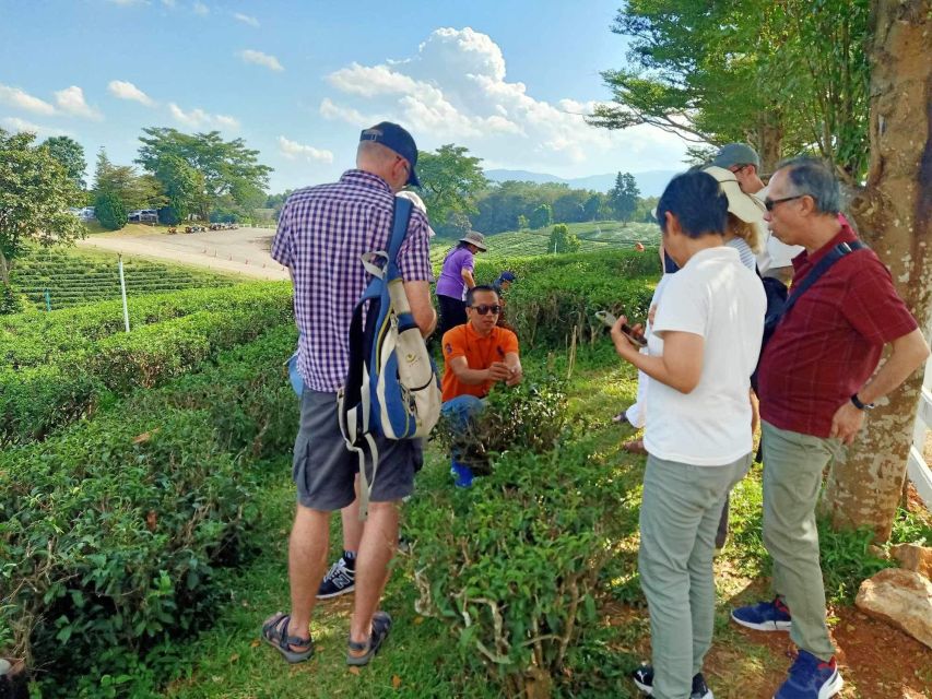 Chiang Rai: Popular Sightseeing Tour 8 Places, Buffet Lunch - Opium House