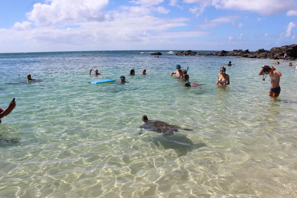 Circle Island: Swim With Turtles And Explore Paradise Oahu - Last Words