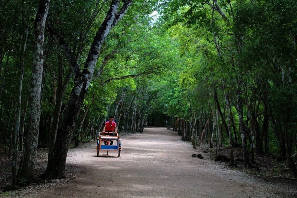 Coba: Mayan Ruins and Cenote Tour From Riviera Maya - Additional Information