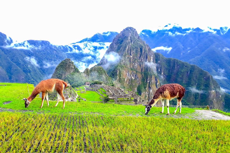 Cusco: 4-Day Inca Trail to Machu Picchu Small Group Trek - Last Words