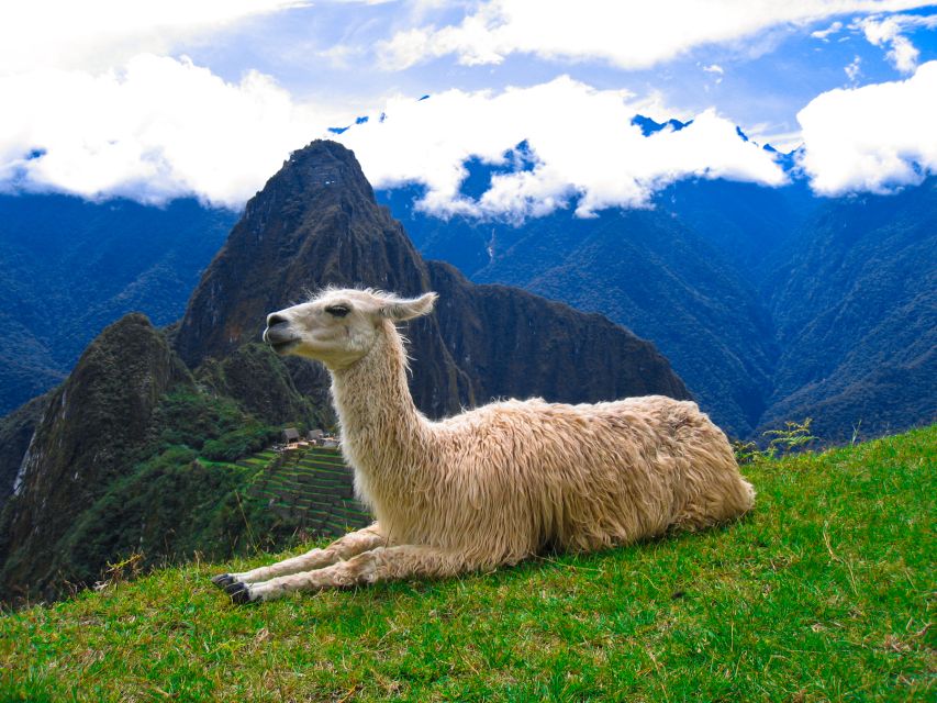 Cusco and Magical Lake Titicaca 8-days Machu Picchu - Cultural Immersion on Lake Titicaca