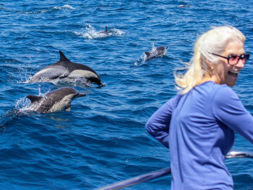Dana Point Dolphin & Whale Watching With Underwater Viewing - Customer Satisfaction Focus