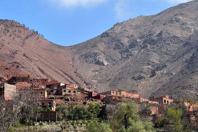 Day in the Atlas Mountains With Camel Ride - Legal and Contact Information