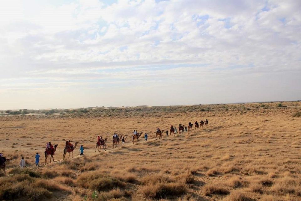 Desert Rose Jaisalmer: Non-Touristic,Billion Star Experience - Last Words