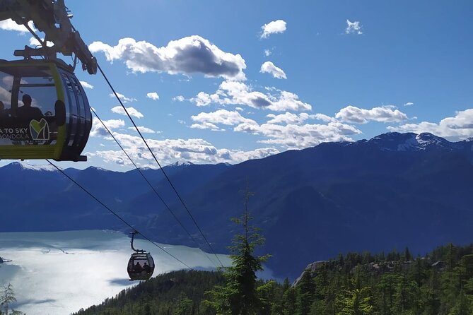 Discover Whistler & Sea to Sky Gondola Tour - Inclusions and Exclusions