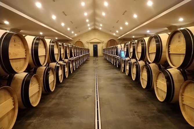 Discovery Day of the Médoc Classified Wines - Private Tour - Booking and Pricing Details