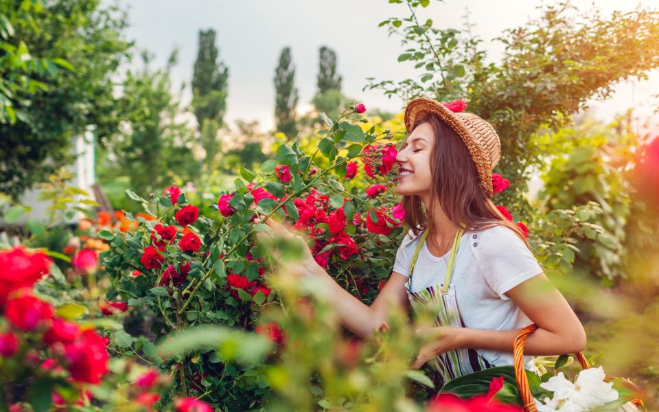 Djurgården Walking Tour, Skansen and Vasa Museum Stockholm - Accessibility and Special Options