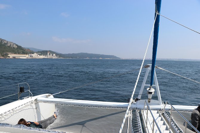 Dolphin Watching Tour by Catamaran From Lisbon - Last Words