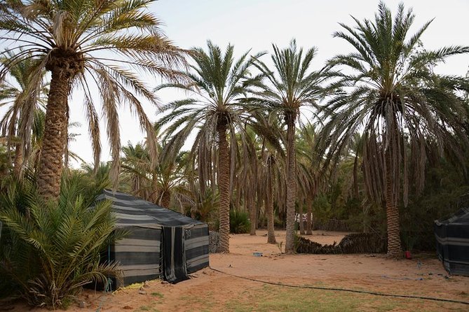 Door of the Tunisian Desert Ksar Ghilane and Matmata: Full One Day - Common questions