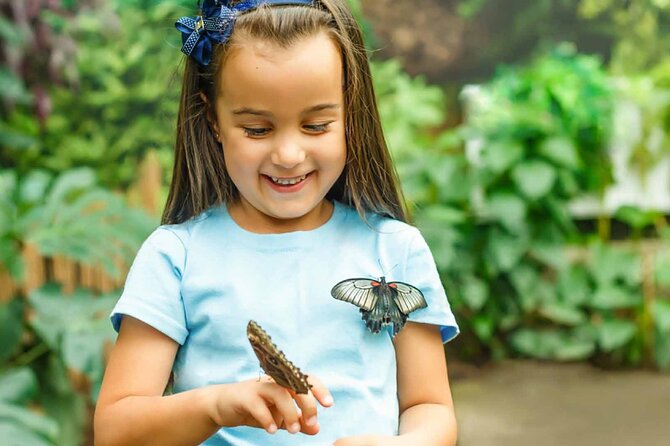 Dubai Butterfly Garden : Skip The Line / Mobile Voucher Accepted - Last Words