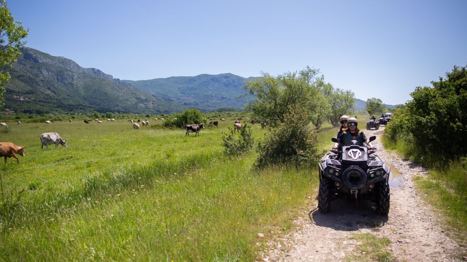 Dubrovnik: Kojan Koral ATV Quad Safari - Common questions