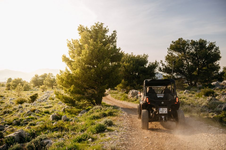 Dubrovnik: Private Buggy Guided Panorama Tour (2 Hours) - Common questions