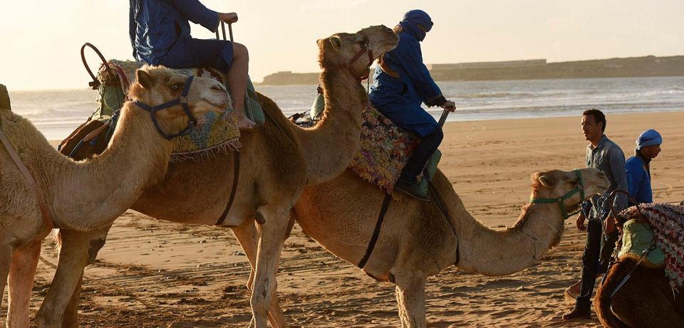 Essaouira: 2-Hour Camel Ride - Common questions