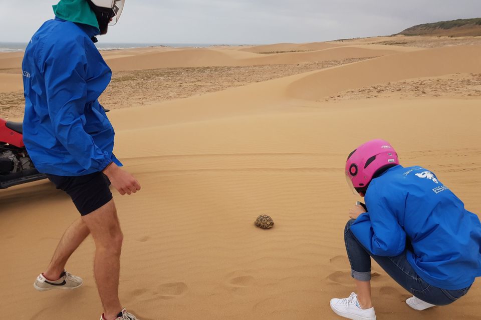 Essaouira: Guided Quad Biking Adventure - Common questions