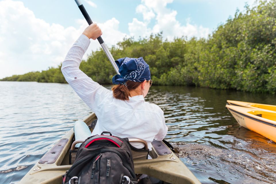 Everglades National Park: Mangrove Tunnel Kayak Eco-Tour - Common questions