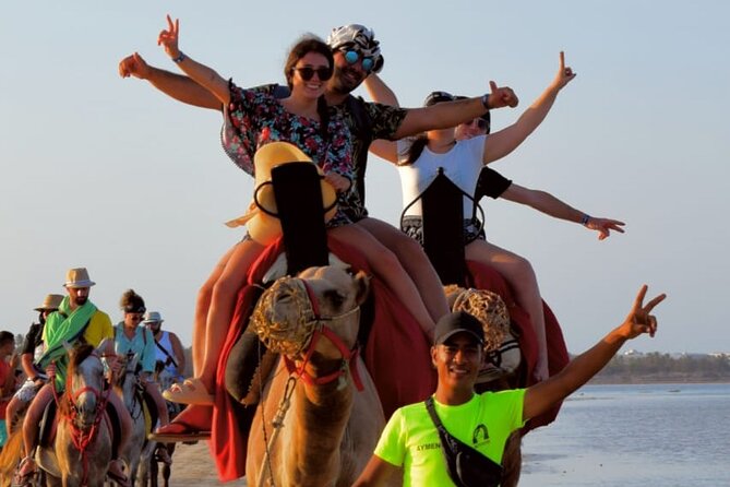 Explore Djerba With Our Four-Legged Friends - Last Words