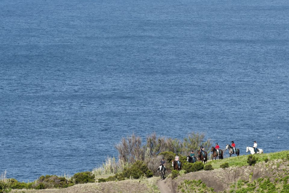 Faial Island: Horseback Riding on Lusitano Trail (1,5 Hr) - Last Words