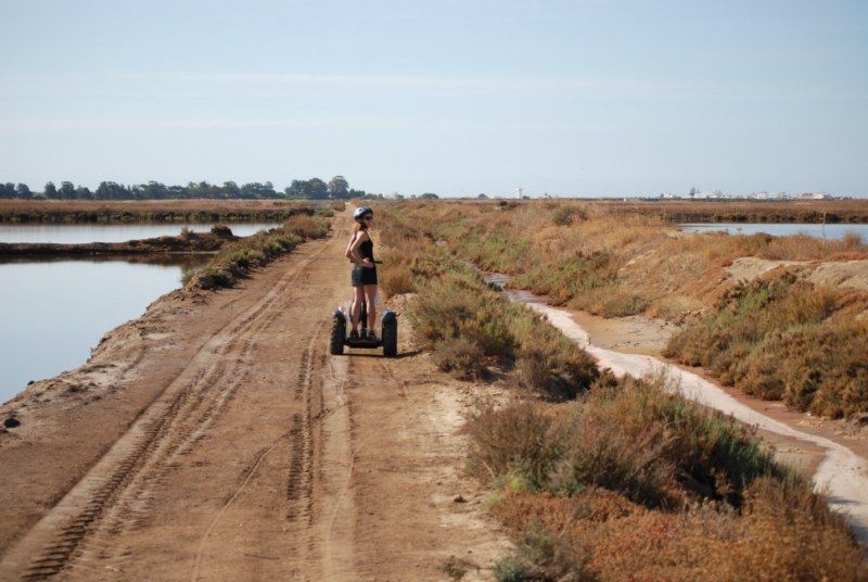 Faro: Ria Formosa Natural Park Segway Tour & Birdwatching - Common questions