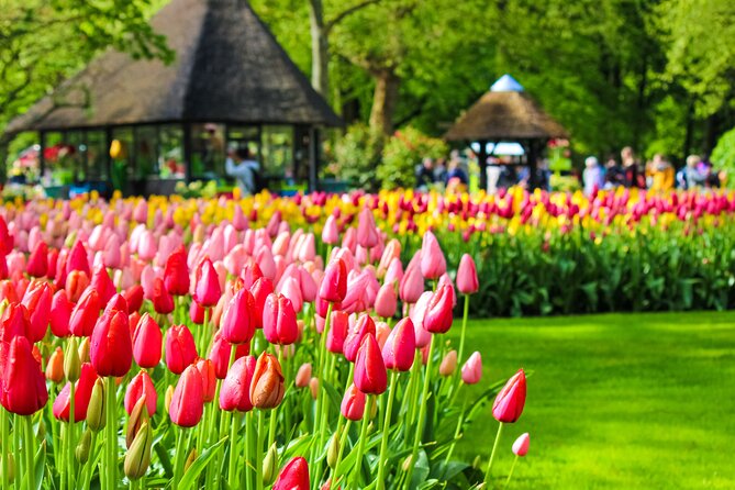 Fast Track Keukenhof Gardens From Amsterdam by Private Car - Last Words