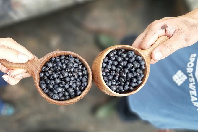 Finland Liesjarvi National Park Wild Berry Foraging Adventure (Mar ) - Last Words